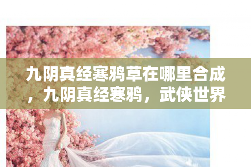 九阴真经寒鸦草在哪里合成图片