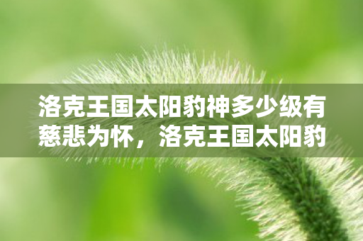 洛克王国太阳豹神多少级有慈悲为怀图片