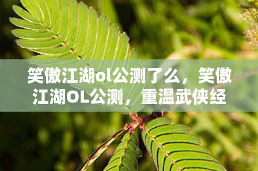 笑傲江湖ol公测了么图片