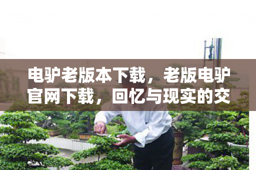 老版电驴官网下载图片