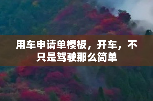 不只是驾驶那么简单图片