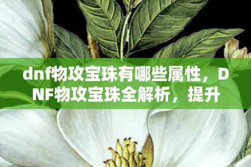 dnf物攻宝珠有哪些属性图片