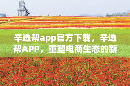 辛选帮app官方下载图片