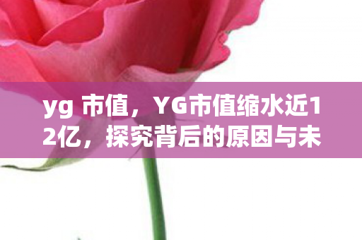 yg 市值，YG市值缩水近12亿，探究背后的原因与未来展望