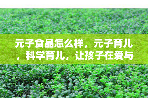 让孩子在爱与智慧中成长图片