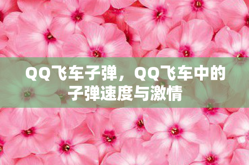 QQ飞车子弹，QQ飞车中的子弹速度与激情