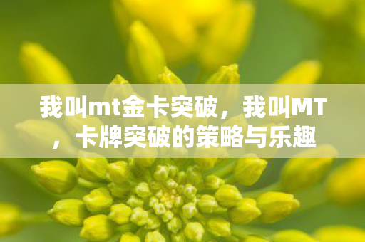 卡牌突破的策略与乐趣图片