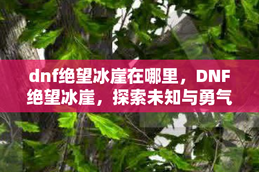 探索未知与勇气的冒险之旅图片