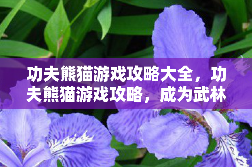 功夫熊猫游戏攻略大全图片