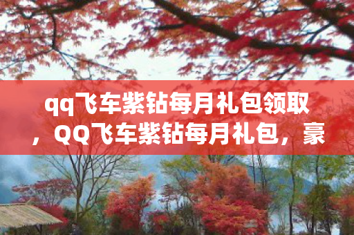 qq飞车紫钻每月礼包领取，QQ飞车紫钻每月礼包，豪华大放送！