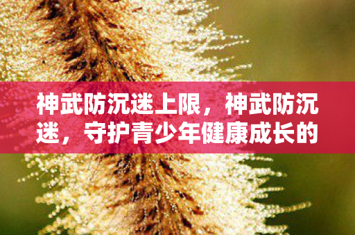 守护青少年健康成长的数字防线图片