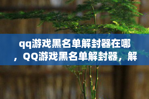 qq游戏黑名单解封器在哪图片