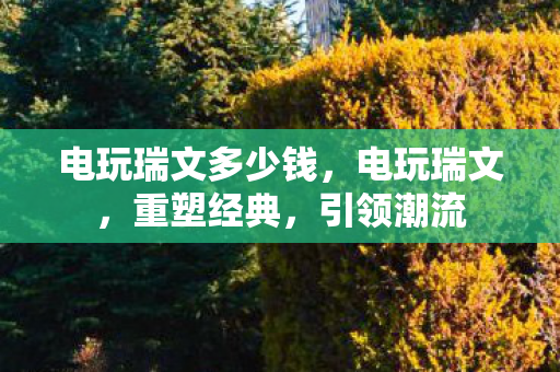 电玩瑞文多少钱图片