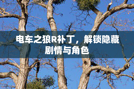 解锁隐藏剧情与角色图片