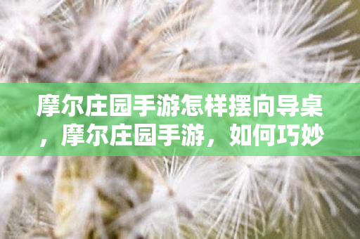 摩尔庄园手游怎样摆向导桌图片