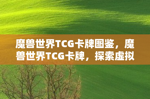 魔兽世界TCG卡牌图鉴图片