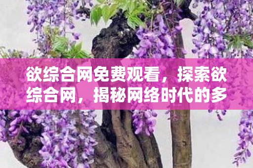 揭秘网络时代的多元化信息交汇点图片