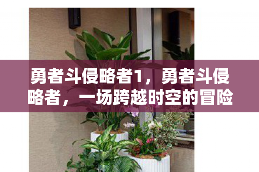 一场跨越时空的冒险图片