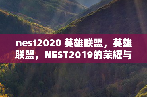 NEST2019的荣耀与梦想图片