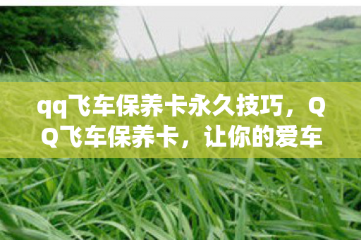 qq飞车保养卡永久技巧，QQ飞车保养卡，让你的爱车焕然一新，轻松领跑赛道！