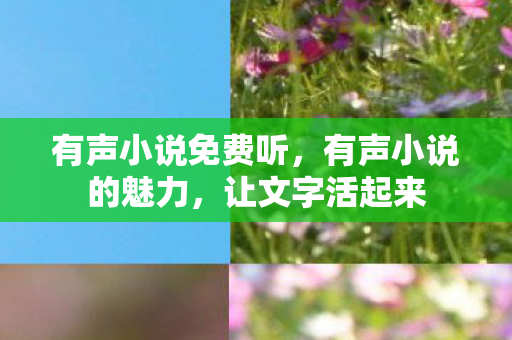有声小说免费听图片