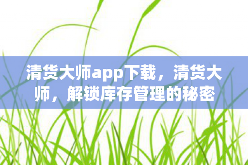 清货大师app下载图片