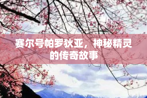 神秘精灵的传奇故事图片