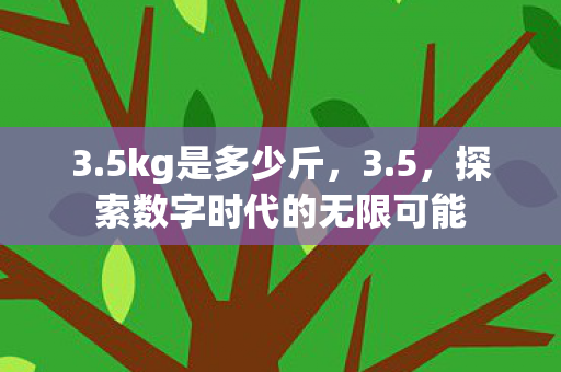 探索数字时代的无限可能图片