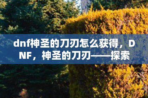 dnf神圣的刀刃怎么获得图片