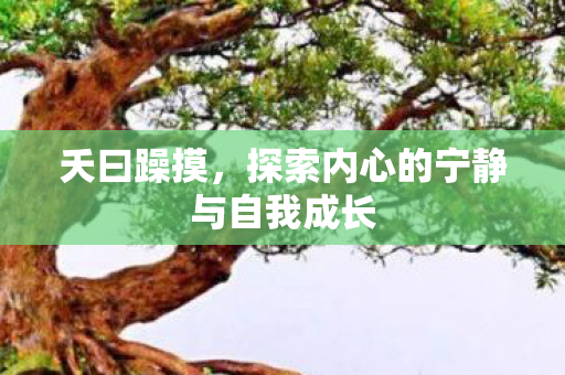 探索内心的宁静与自我成长图片