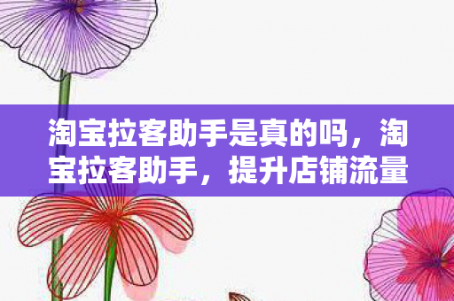 提升店铺流量的秘密武器图片