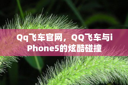 Qq飞车官网，QQ飞车与iPhone5的炫酷碰撞