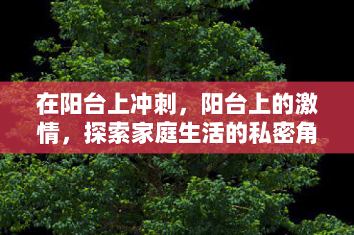 探索家庭生活的私密角落图片