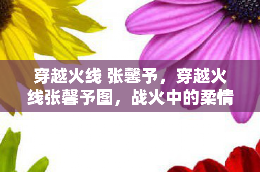 战火中的柔情与坚韧图片