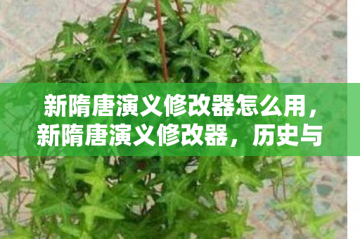 新隋唐演义修改器怎么用图片