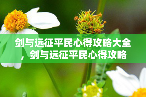 剑与远征平民心得攻略大全图片