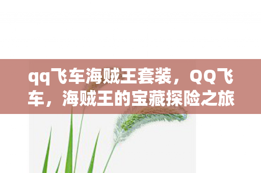 qq飞车海贼王套装，QQ飞车，海贼王的宝藏探险之旅