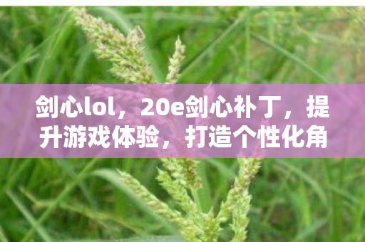 20e剑心补丁图片