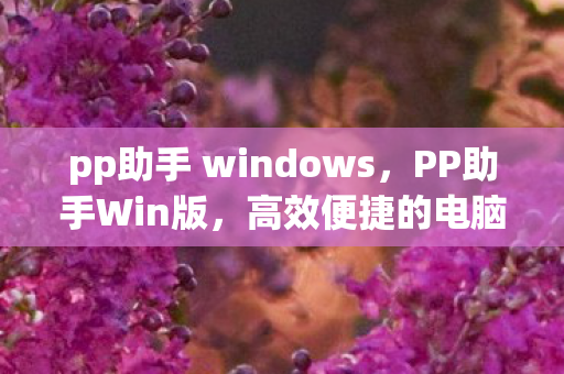 pp助手 windows图片