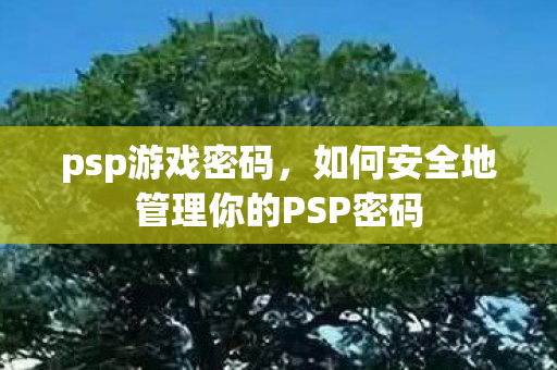 如何安全地管理你的PSP密码图片