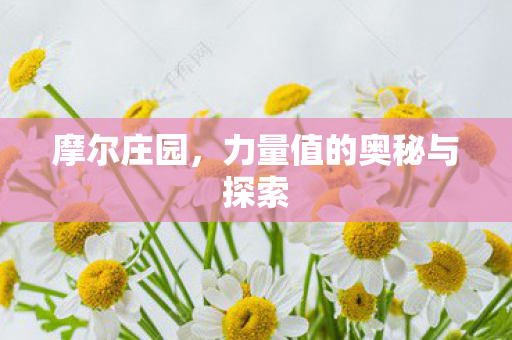 力量值的奥秘与探索图片