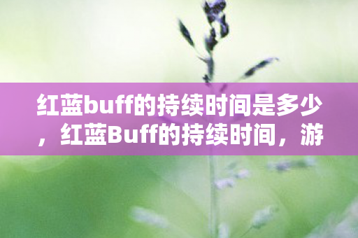 红蓝buff的持续时间是多少图片