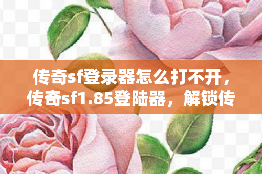 传奇sf登录器怎么打不开图片