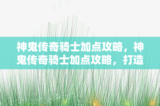 神鬼传奇骑士加点攻略图片