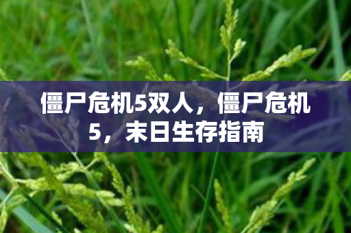 僵尸危机5双人图片