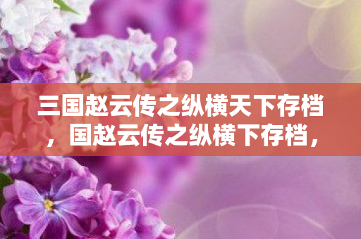 三国赵云传之纵横天下存档图片