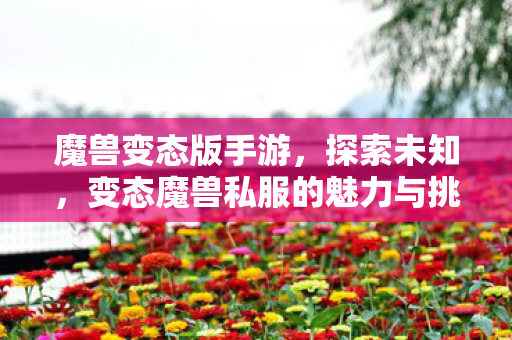 变态魔兽私服的魅力与挑战图片