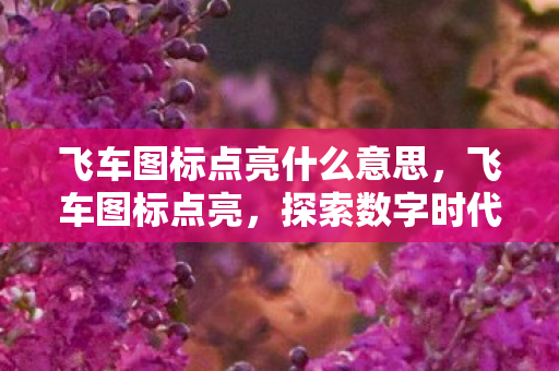 飞车图标点亮什么意思，飞车图标点亮，探索数字时代的速度与激情