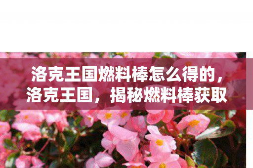 洛克王国燃料棒怎么得的图片