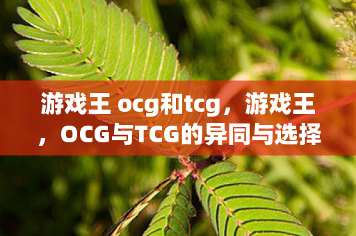 OCG与TCG的异同与选择图片